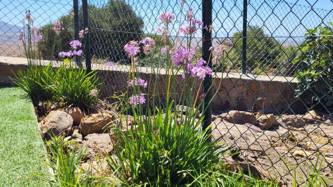Rancho Blanco Tarifa La Pena别墅 外观 照片
