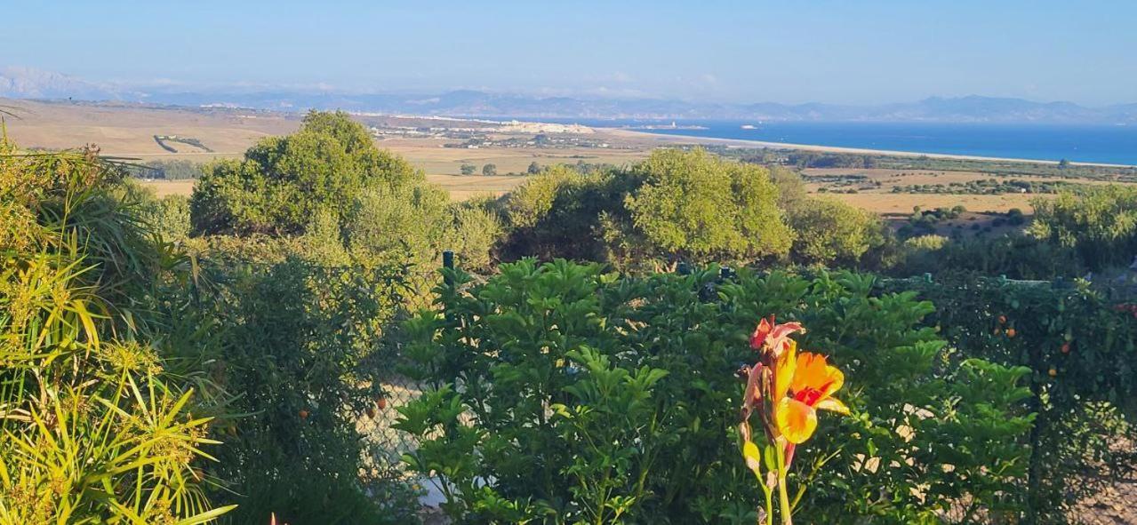 Rancho Blanco Tarifa La Pena别墅 外观 照片